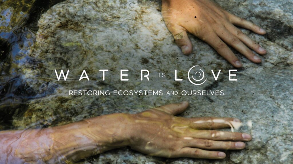 Water is Love